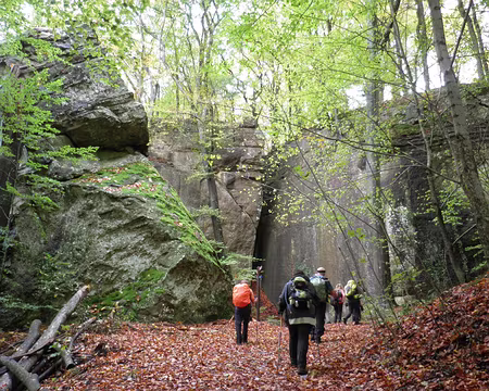 PB021693 entre Müllerthal et Berdorf entre Müllerthal et Berdorf