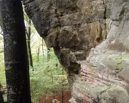 PB021699 entre Müllerthal et Berdorf entre Müllerthal et Berdorf