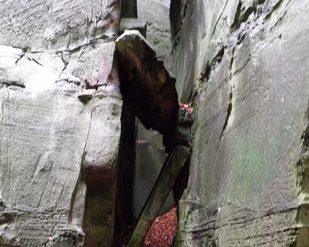 PB021704 entre Müllerthal et Berdorf entre Müllerthal et Berdorf