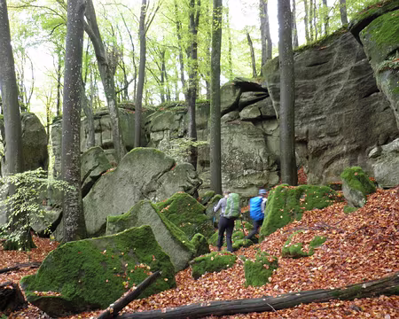 PB021705 entre Müllerthal et Berdorf entre Müllerthal et Berdorf