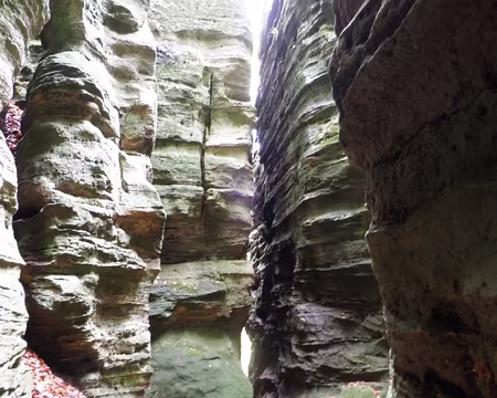 PB021707 entre Müllerthal et Berdorf entre Müllerthal et Berdorf