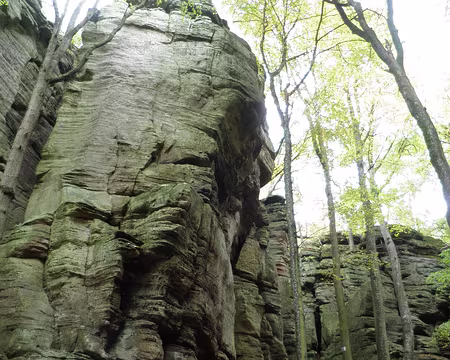PB021716 près de Berdorf près de Berdorf
