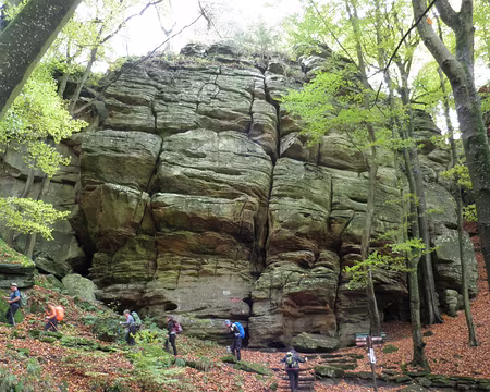 PB021720 près de Berdorf près de Berdorf