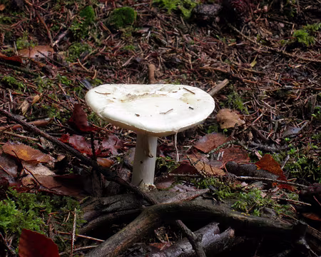 PB031792 à identifier