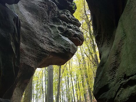 Alain Alain Z, détail sortie
