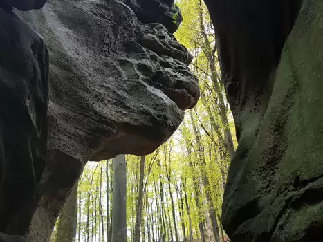 Alain Alain Z, détail sortie