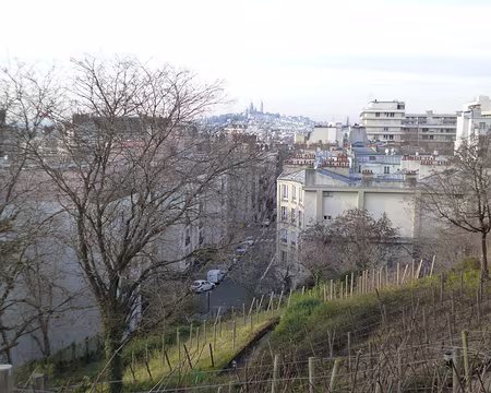 P1120327 Butte Bergeyre