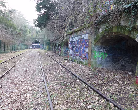 P1120331 La Petite Ceinture aux Buttes-Chaumont
