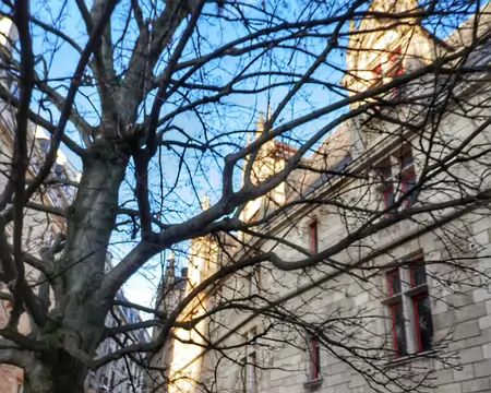 007 Hôtel de Sens (bibliothèque Forney)