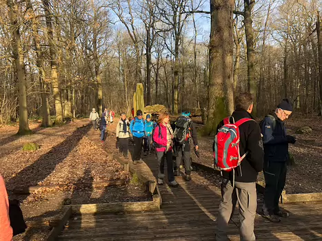 2019-12 Parc de Saint-Cloud