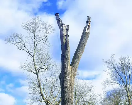 20191225_120225