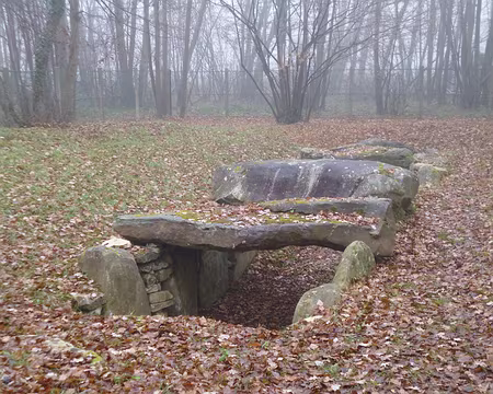 P1120268 Allée couverte de la Pierre-Plate