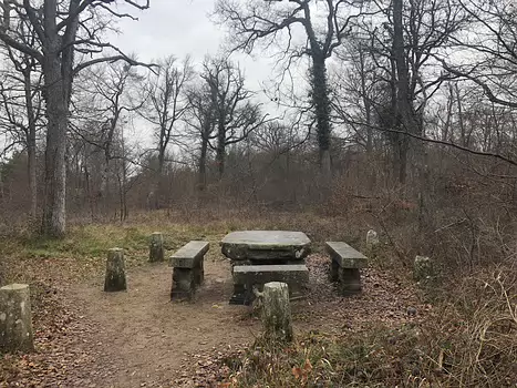 2020-01 Fontainebleau Isabelle