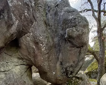 Fontainebleau011