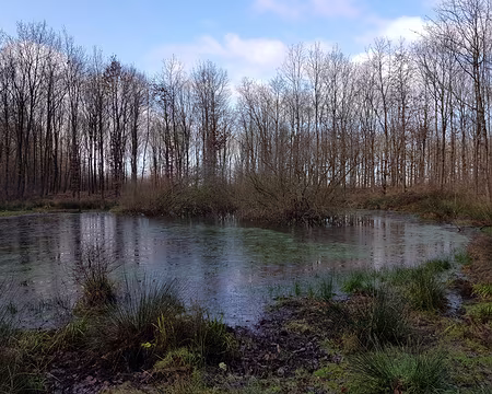 2020_01_19-12_36_53 Une mare absente de la carte