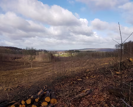 2020_01_19-13_47_46 Déboisement et reboisement