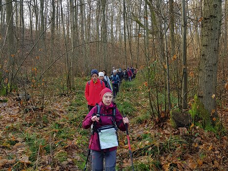 Alain Alain Z, détail sortie