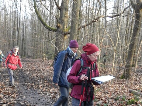 Hélène Hélène B, détail sortie