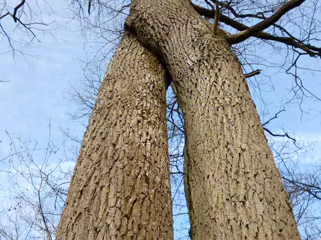 2020-02 Fontainebleau