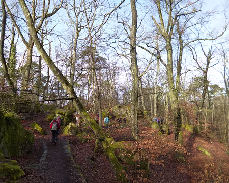 P1120457 Sentier bleu n°2