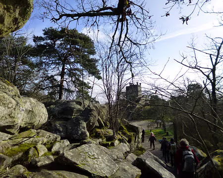 P1120462 Tour Denecourt construite dès 1851 (alt. 136 mètres)