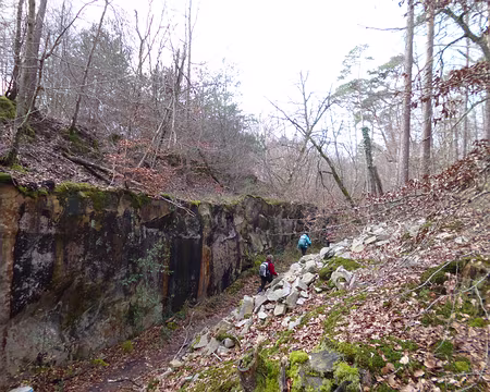 P1120465 Anciennes carrières de grès du Mont-Saint-Germain