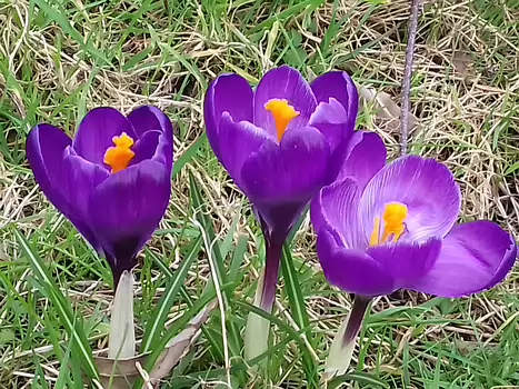2020-02 La Promenade bleue