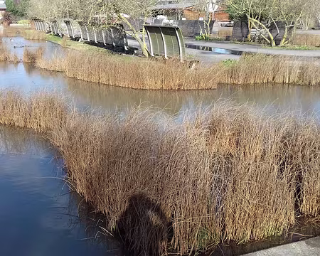 016 Le Jardin de « l’Eau retrouvée »