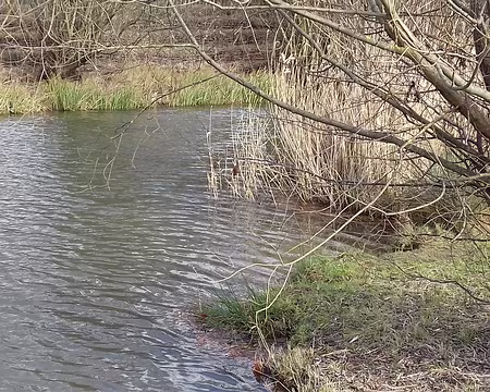 019 Les berges sinueuses du « contre-fossé »