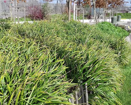 025 Ce parc est situé au-dessus de l’autoroute A86