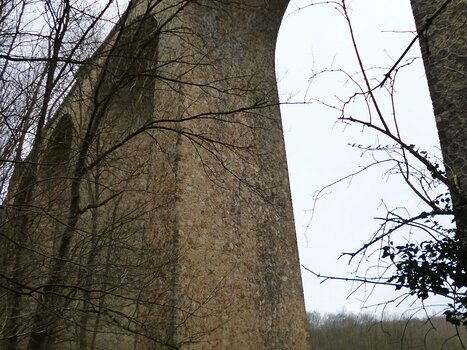 Dominique Dominique F, détail sortie