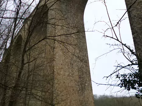 Dominique Dominique F, détail sortie