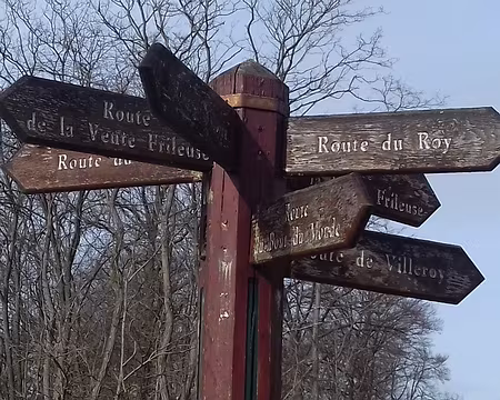 014 Croisement en étoile des allées cavalières de l’ancienne forêt royale