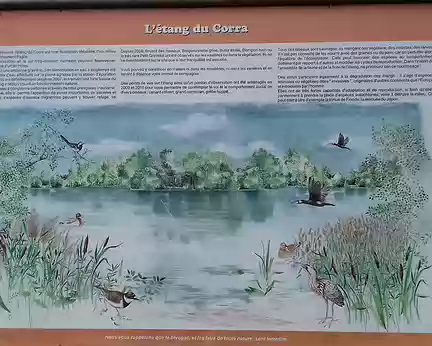 021 L’étang du Corra (1,5 ha) est une ancienne gravière exploitée de 1929 à 1976