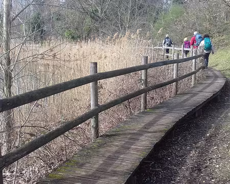 023 Platelage au bord de l’étang