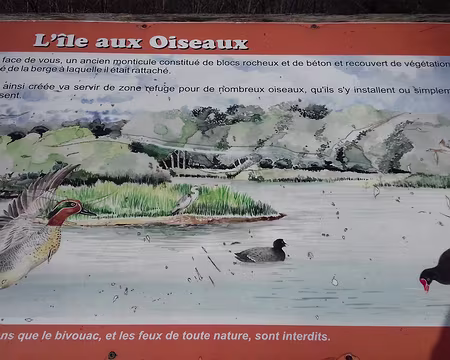 031 L’île aux oiseaux