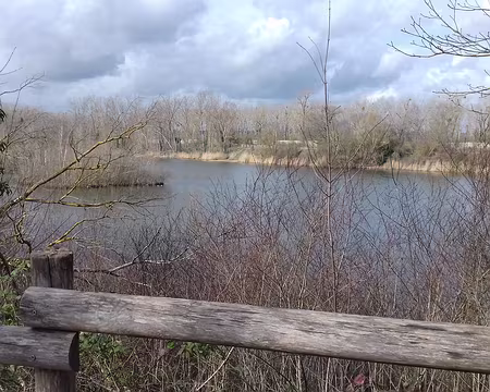 032 L’île aux oiseaux