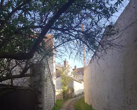 2020_03_07-10_37_15 Venelles de Montigny-sur-Loing