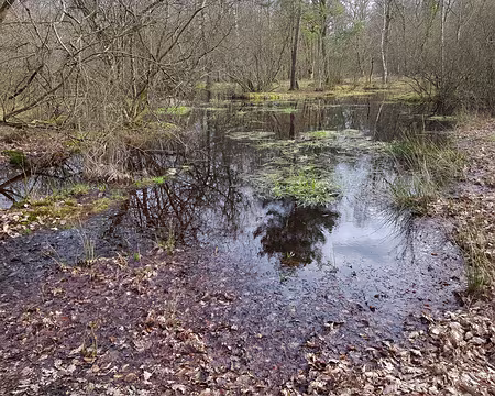 2020_03_07-15_22_34 Mare aux Fées