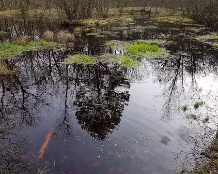 2020_03_07-15_25_32 Mare aux Fées