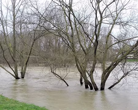 015 La Marne en crue