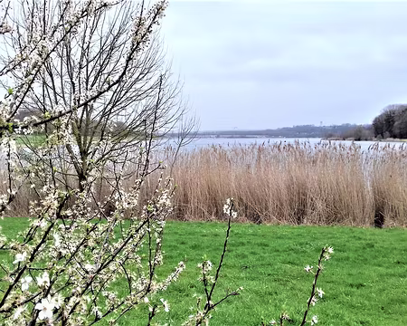 020 Le plan d’eau de Vaires