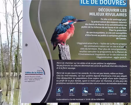 029 Île de Douvres, milieux rivulaires