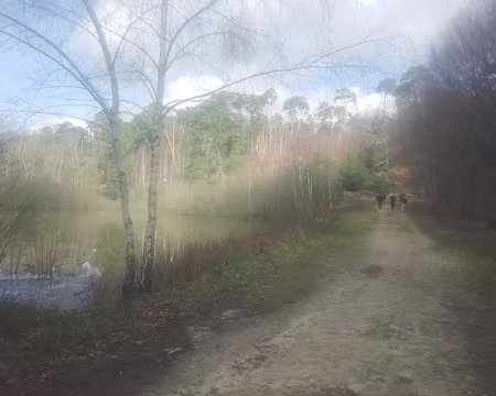 IMG_20200307_114849747