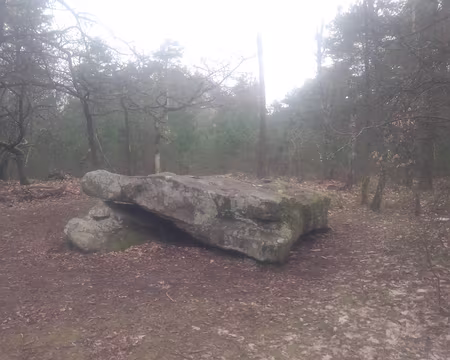 IMG_20200307_155503050