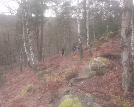 IMG_20200308_111738151 .