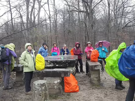 2020-03 Rdv organisatrices