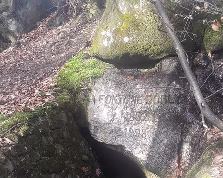 20200308_094602 par le sentier des fontaines sous le soleil