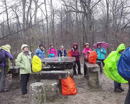 20200308_152723 Goûter à la table du Grand Maître