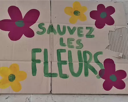 003 de la manifestation pacifique …